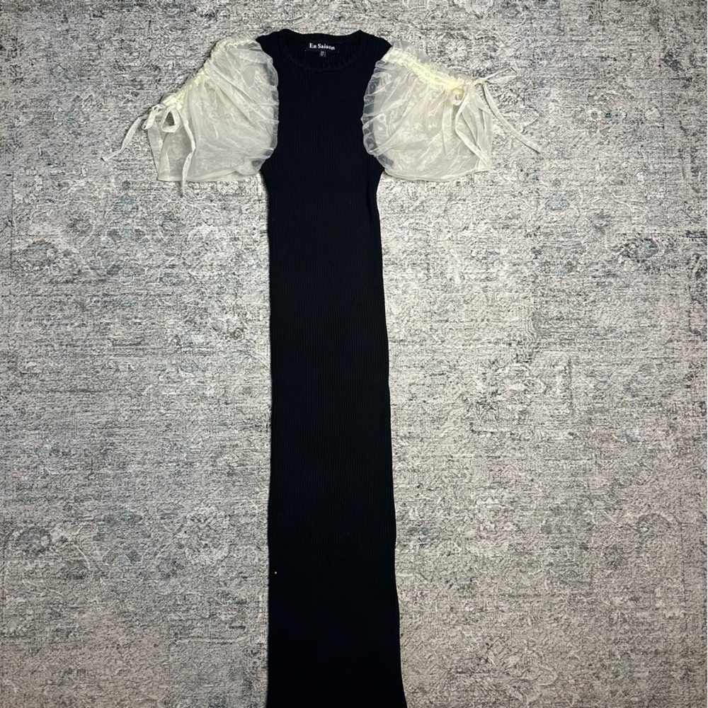 En Saison Dress with Sheer Sleeves Size XS